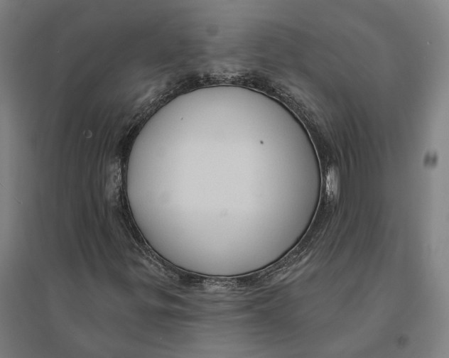 X0000095111299200712301726