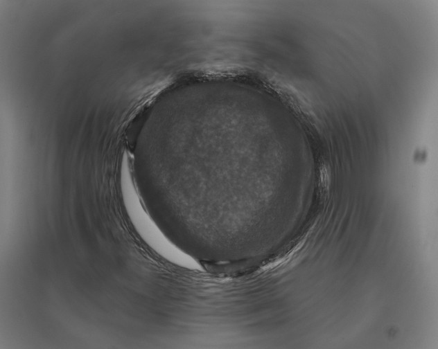 X0000095111300200712301726