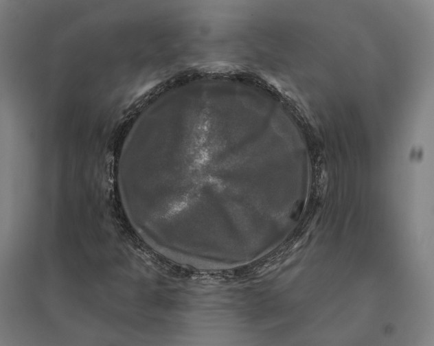 X0000095111301200712301726