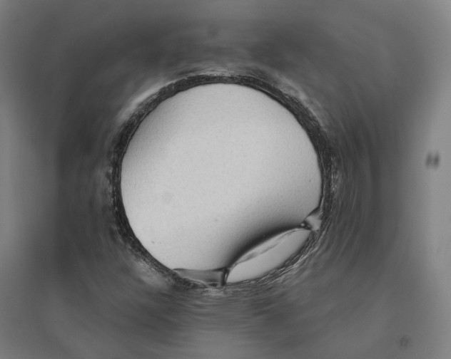 X0000095111304200712301727