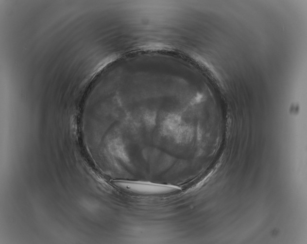 X0000095111305200712301727