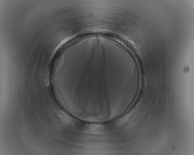 X0000095111306200712301727