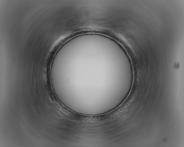 X0000095111307200712301727