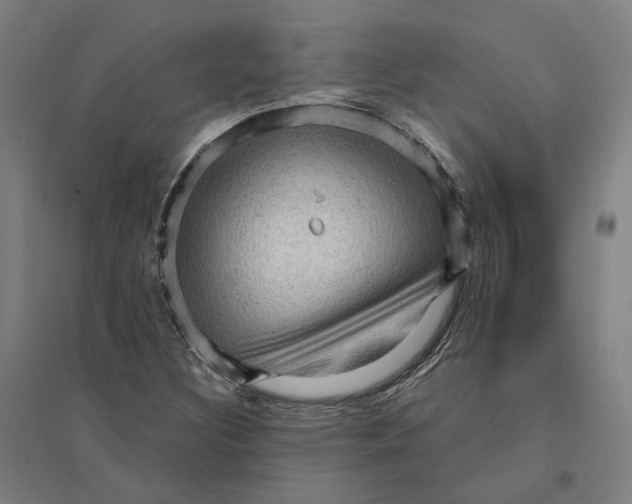 X0000095111308200712301727