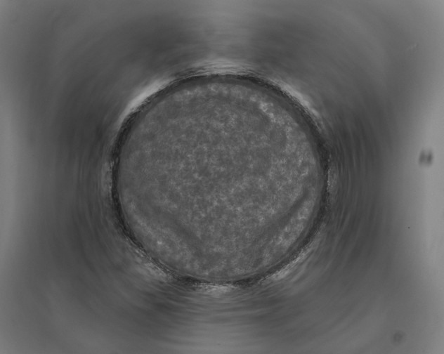 X0000095111309200712301727