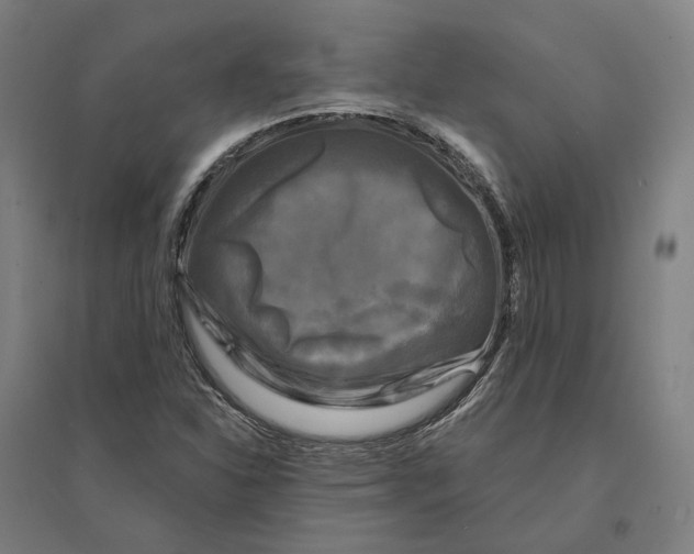 X0000095111310200712301727