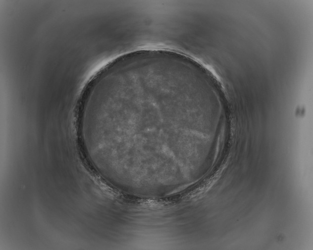 X0000095111311200712301727