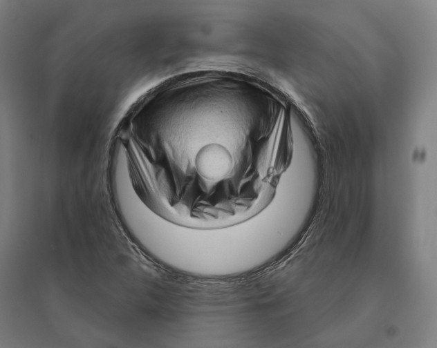 X0000095111312200712301727