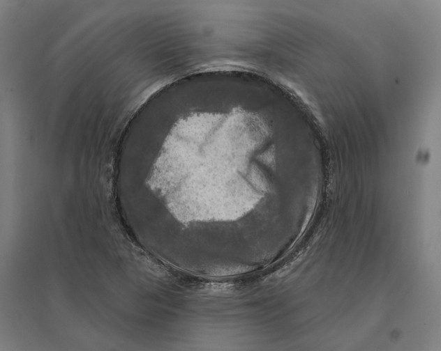 X0000095111313200712301727