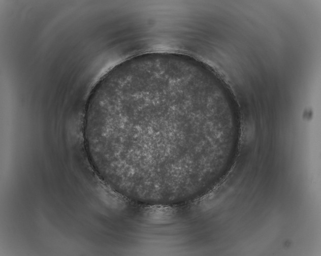 X0000095111314200712301727