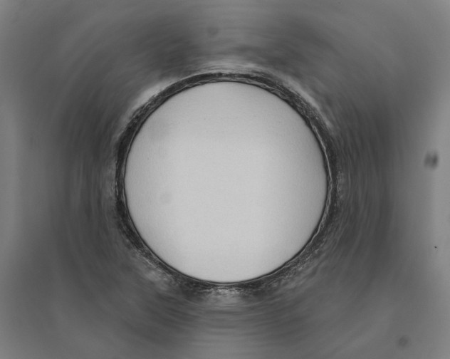 X0000095111315200712301727