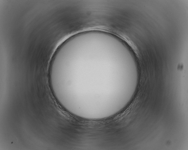 X0000095111316200712301727