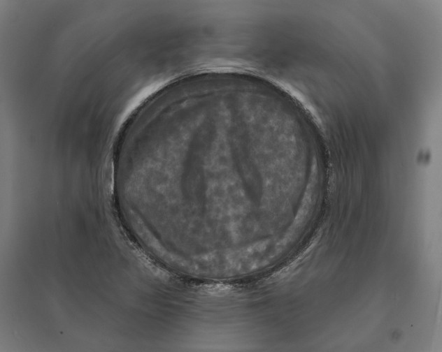 X0000095111317200712301727