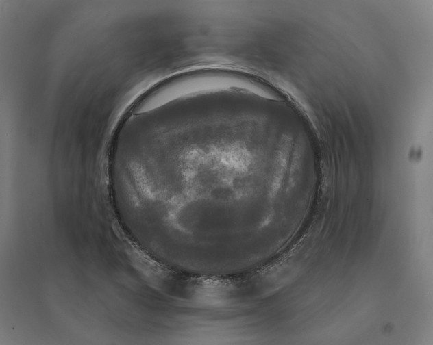 X0000095111318200712301727