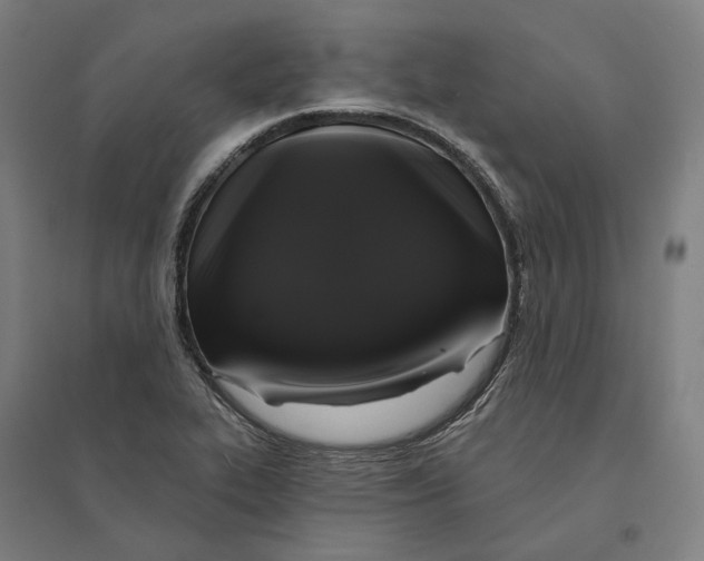 X0000095111319200712301727