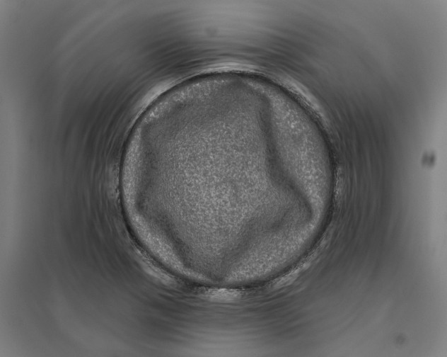 X0000095111321200712301727