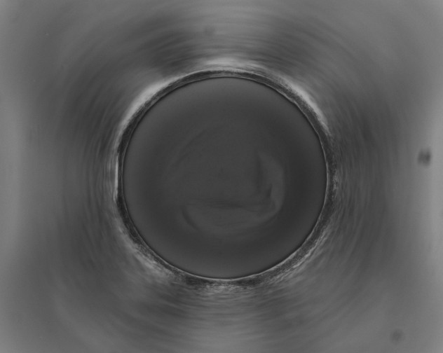 X0000095111323200712301727