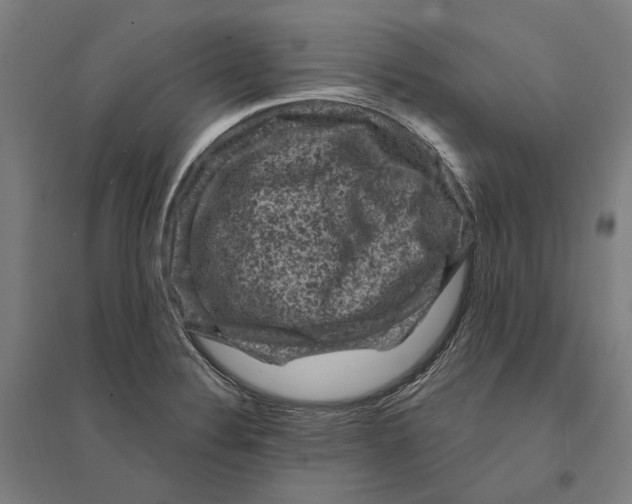 X0000095111324200712301727