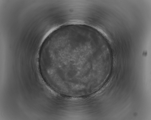 X0000095111325200712301727