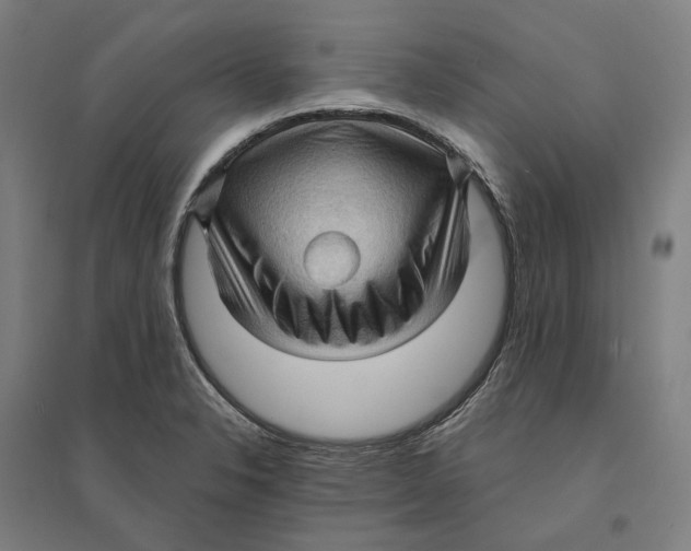 X0000095111326200712301727