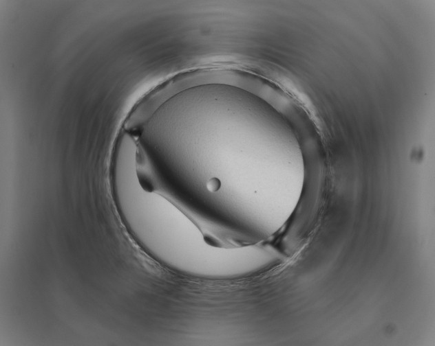 X0000095111328200712301727