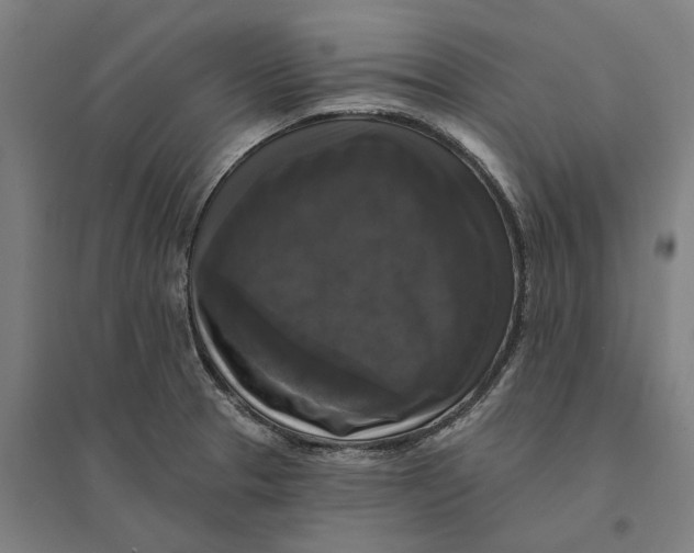 X0000095111329200712301727