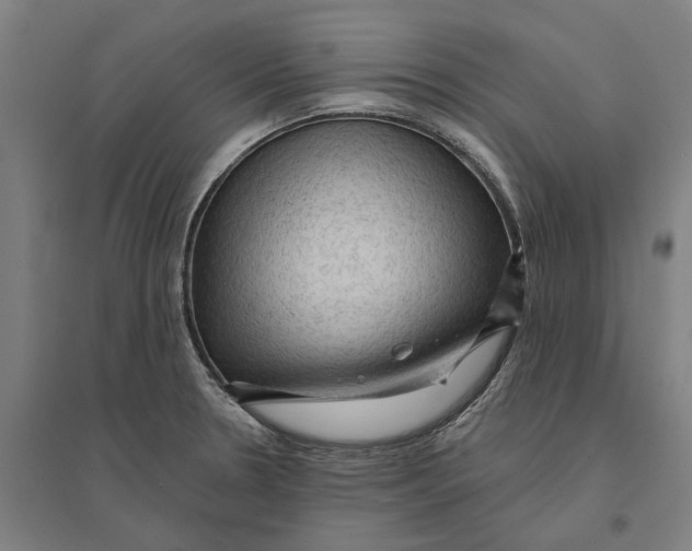 X0000095111330200712301727