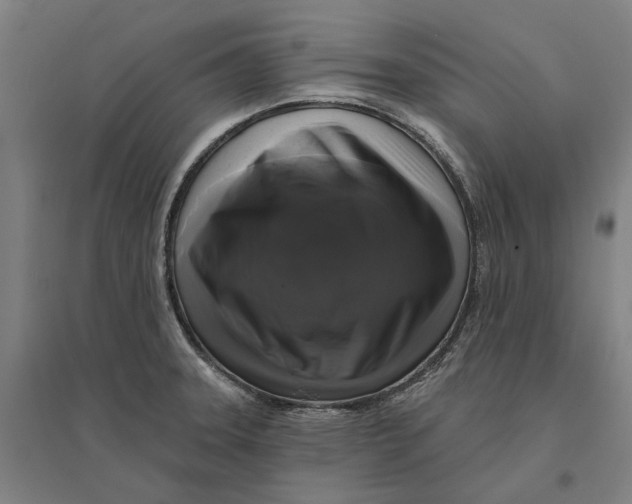 X0000095111331200712301727