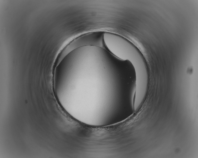 X0000095111332200712301727