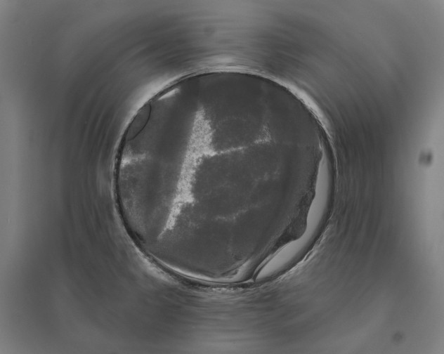 X0000095111333200712301727