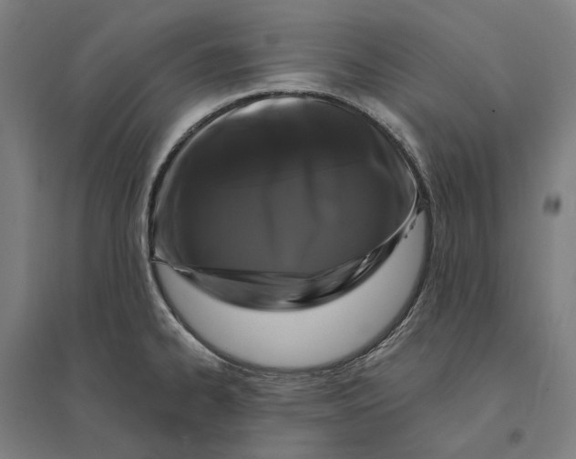 X0000095111334200712301727