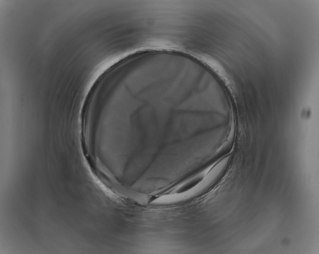 X0000095111335200712301727