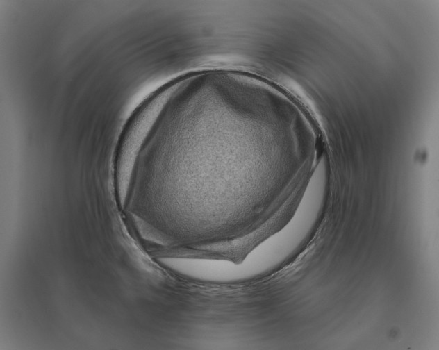 X0000095111336200712301727