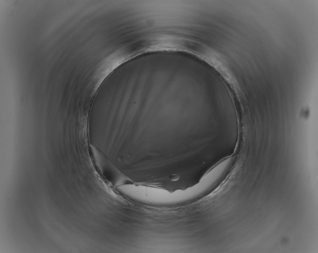 X0000095111337200712301727