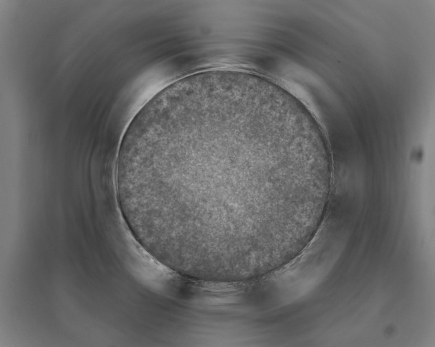 X0000095111338200712301727