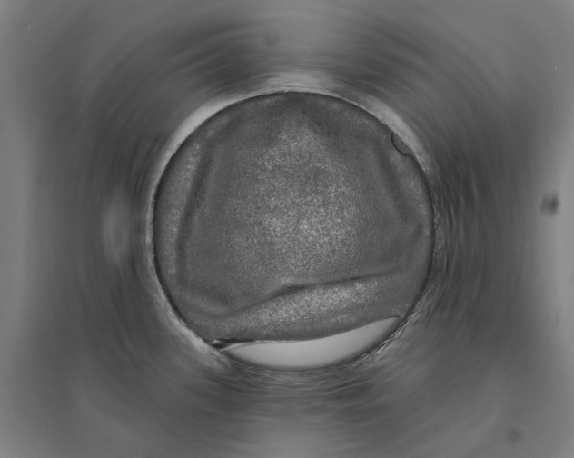 X0000095111339200712301727