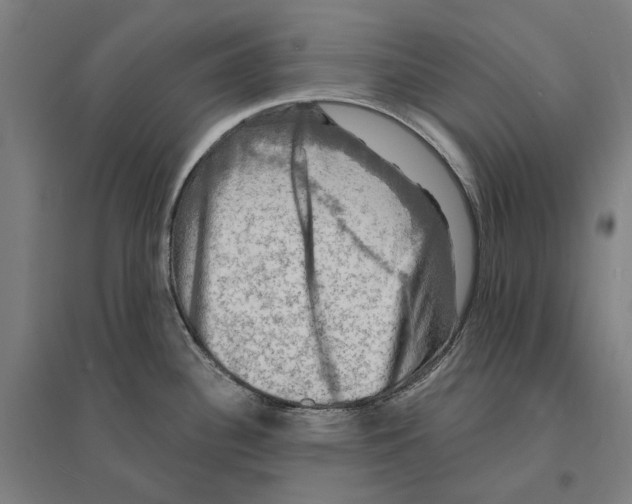 X0000095111340200712301727