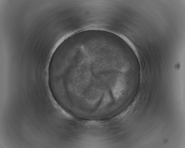 X0000095111341200712301727