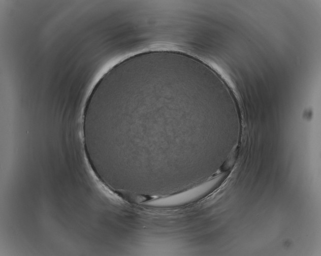 X0000095111342200712301727