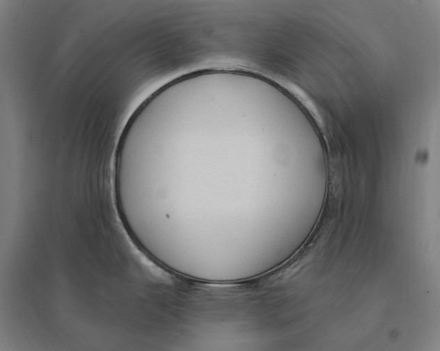 X0000095111343200712301727