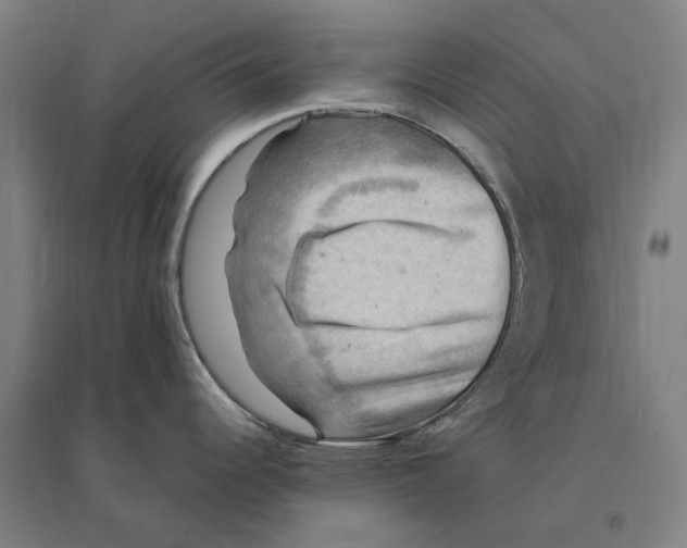 X0000095111344200712301727