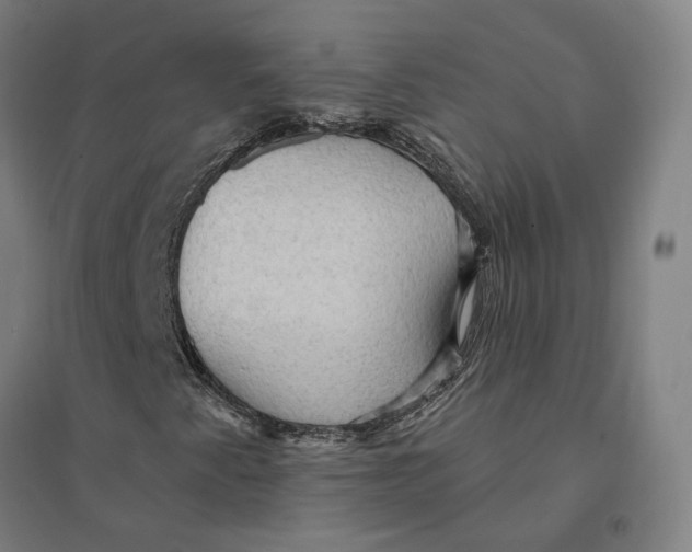 X0000095111345200712301726