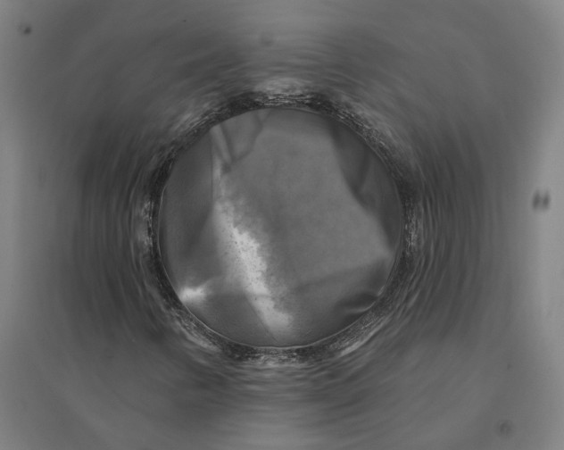 X0000095111346200712301726