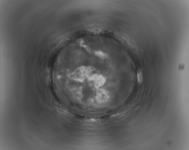 X0000095111347200712301726