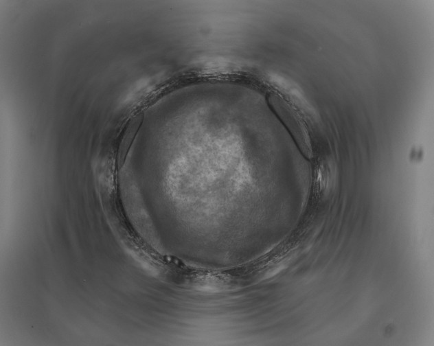 X0000095111348200712301726