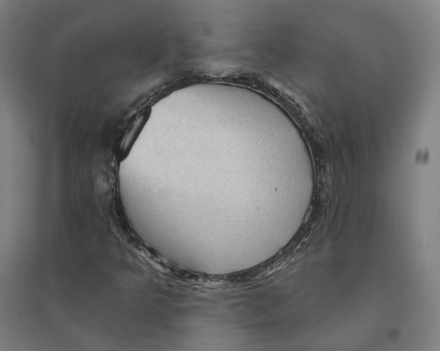 X0000095111349200712301726