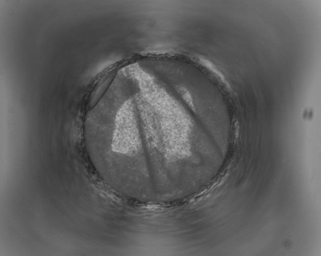 X0000095111350200712301726