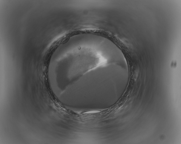 X0000095111351200712301726