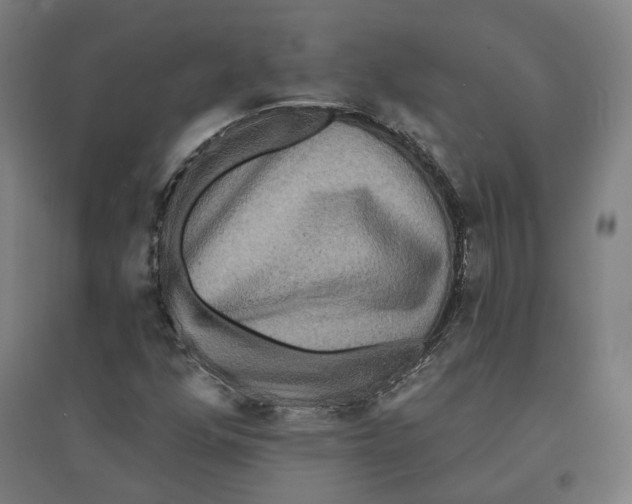 X0000095111352200712301726