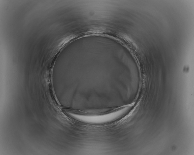 X0000095111353200712301726